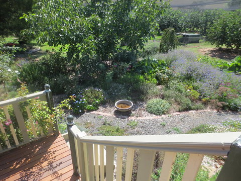 Walnut Cottage Via Leongatha - Accommodation Main Beach 6