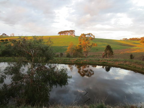 Walnut Cottage Via Leongatha - Accommodation Main Beach 10