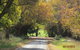 Walnut Cottage Via Leongatha - thumb 11