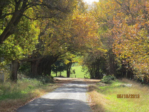 Walnut Cottage Via Leongatha - Accommodation Main Beach 11