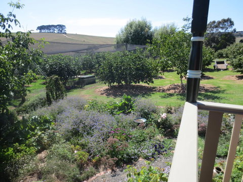Walnut Cottage Via Leongatha - Accommodation Main Beach 9