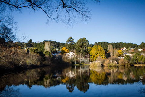 Chestnut Daylesford - Accommodation Main Beach 14