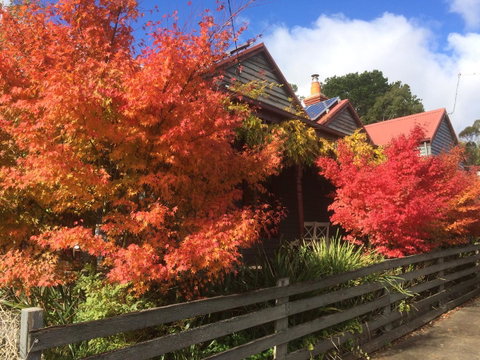 Chestnut Daylesford - Accommodation Main Beach 13