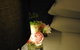 Bed Of Roses - thumb 23
