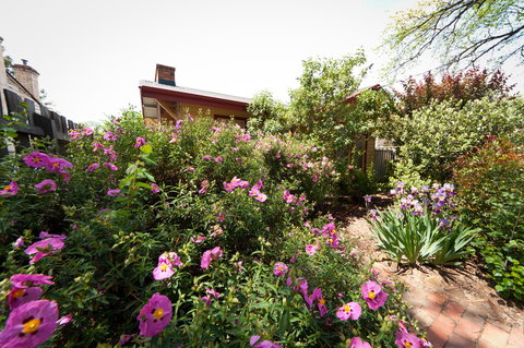 National Hotel Complex Bendigo - Accommodation Main Beach 21