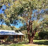 Grampians Pomonal Cottages - Accommodation Main Beach