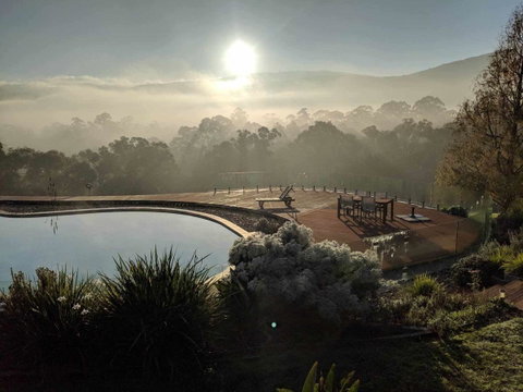 Kangaroo Manor - Accommodation Main Beach 6