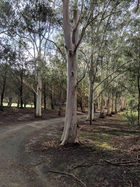 Kangaroo Manor - Accommodation Main Beach 10