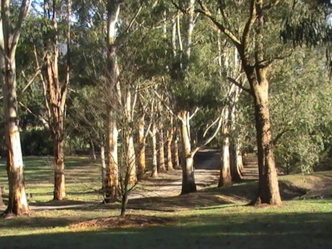 Kangaroo Manor - Accommodation Main Beach 21