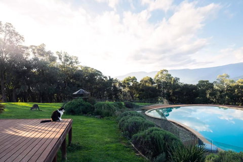 Kangaroo Manor - Accommodation Main Beach 23