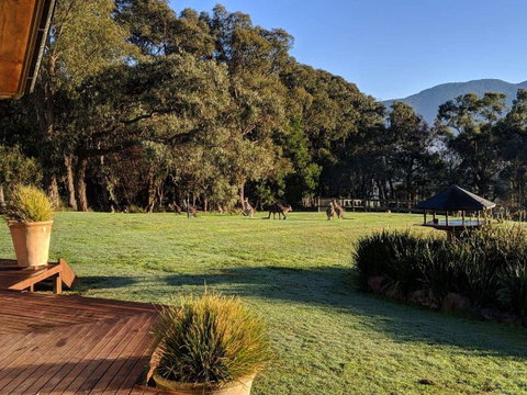 Kangaroo Manor - Accommodation Main Beach 5