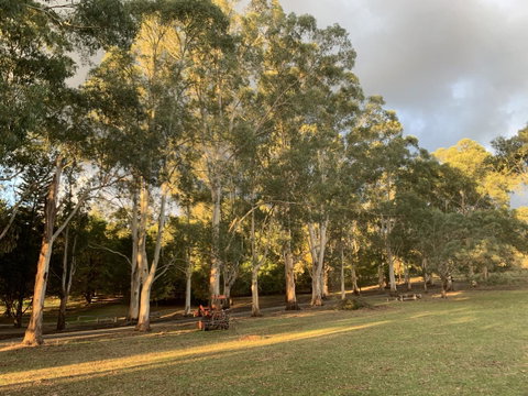 Kangaroo Manor - Accommodation Main Beach 15