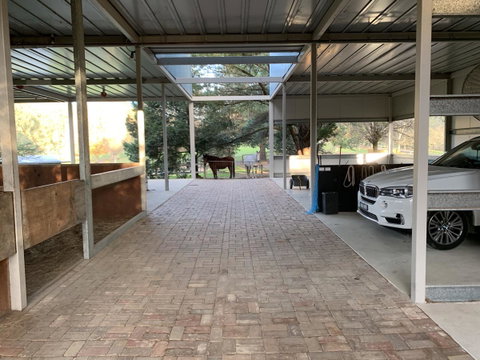 Kangaroo Manor - Accommodation Main Beach 1