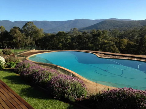 Kangaroo Manor - Accommodation Main Beach 14