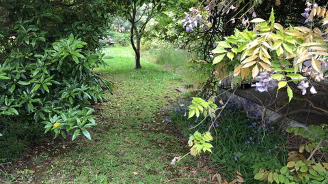 Lorelei Bed & Breakfast - Accommodation Main Beach 10