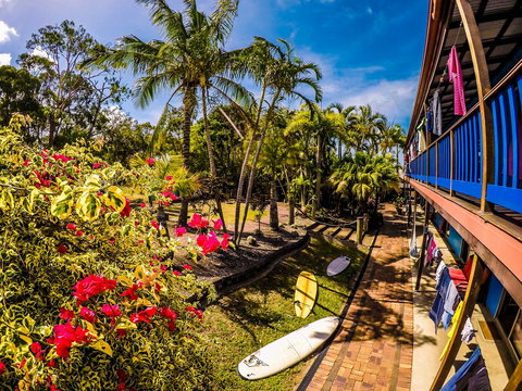 Cool Bananas Backpackers - Accommodation Main Beach 17