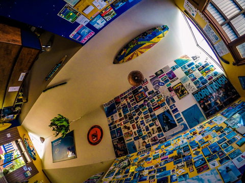 Cool Bananas Backpackers - Accommodation Main Beach 29