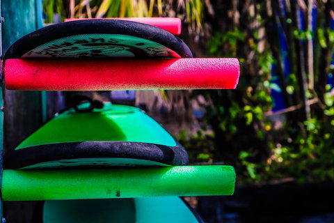 Cool Bananas Backpackers - Accommodation Main Beach 39