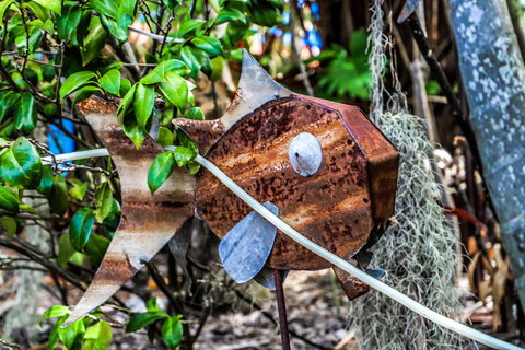 Cool Bananas Backpackers - Accommodation Main Beach 24