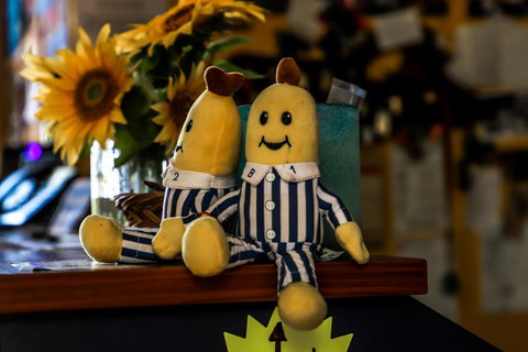 Cool Bananas Backpackers - Accommodation Main Beach 30