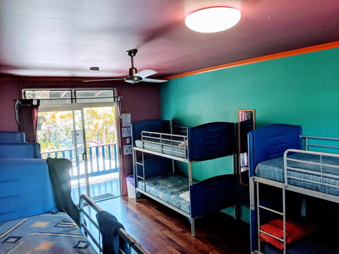 Cool Bananas Backpackers - Accommodation Main Beach 5