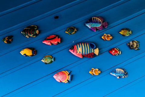 Cool Bananas Backpackers - Accommodation Main Beach 20