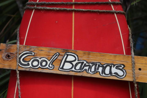 Cool Bananas Backpackers - Accommodation Main Beach 41