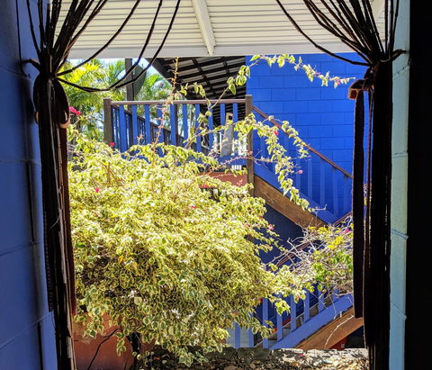 Cool Bananas Backpackers - Accommodation Main Beach 10