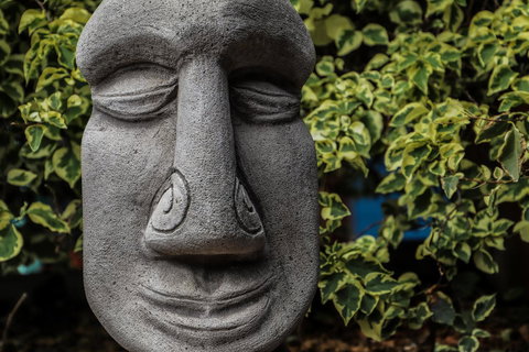 Cool Bananas Backpackers - Accommodation Main Beach 23