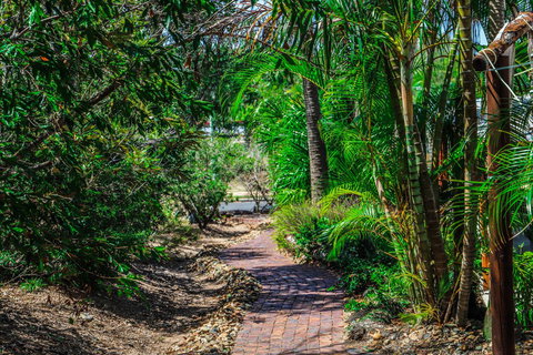 Cool Bananas Backpackers - Accommodation Main Beach 15