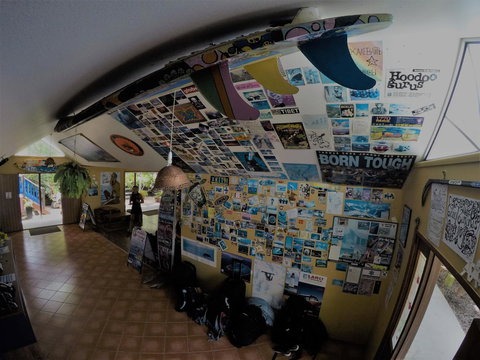 Cool Bananas Backpackers - Accommodation Main Beach 31