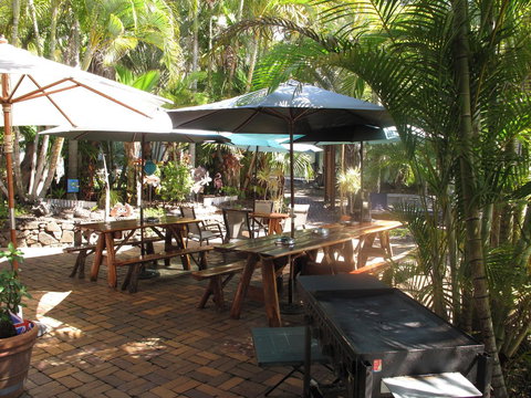 Cool Bananas Backpackers - Accommodation Main Beach 16