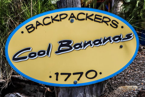 Cool Bananas Backpackers - Accommodation Main Beach 38