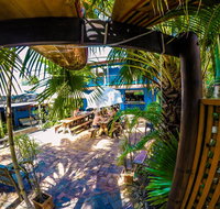Cool Bananas Backpackers - Accommodation Main Beach