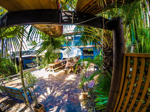 Cool Bananas Backpackers - Accommodation Main Beach 0