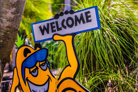 Cool Bananas Backpackers - Accommodation Main Beach 37