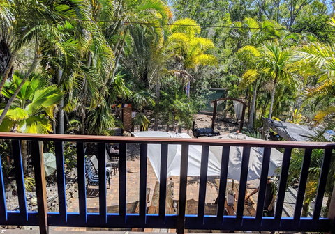 Cool Bananas Backpackers - Accommodation Main Beach 4