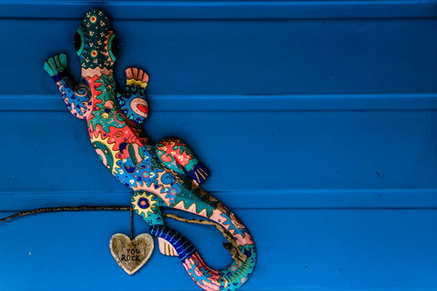 Cool Bananas Backpackers - Accommodation Main Beach 21