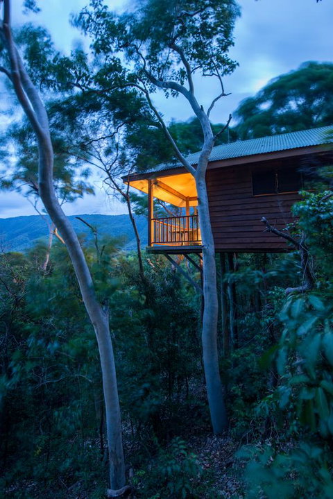 Thala Beach Nature Reserve - Accommodation Main Beach 19