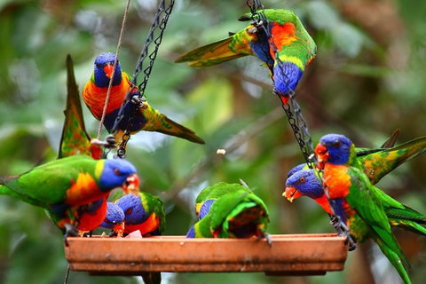 Thala Beach Nature Reserve - Accommodation Main Beach 43