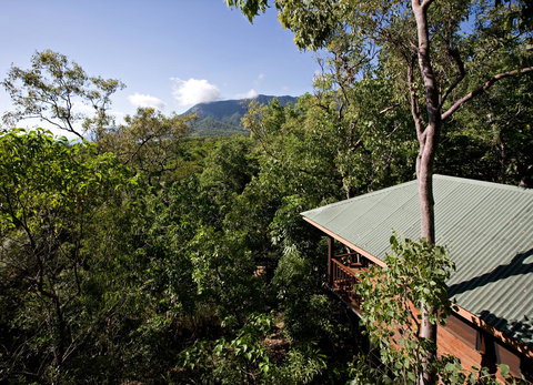 Thala Beach Nature Reserve - Accommodation Main Beach 18