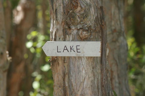 Lake Weyba Noosa Lodge & Kangaroos - Accommodation Main Beach 36