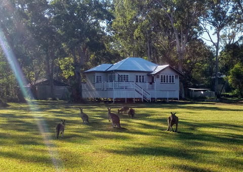 Lake Weyba Noosa Lodge & Kangaroos - Accommodation Main Beach 0