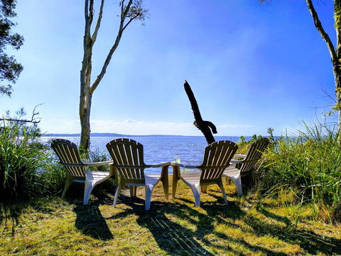 Lake Weyba Noosa Lodge & Kangaroos - Accommodation Main Beach 44