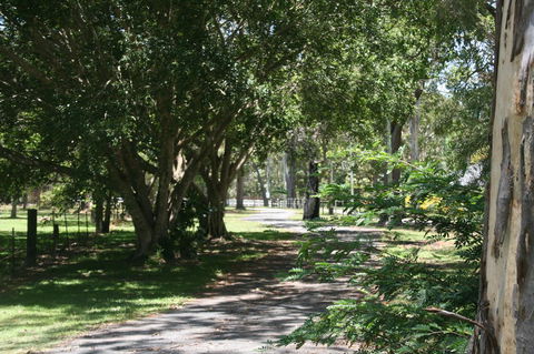 Lake Weyba Noosa Lodge & Kangaroos - Accommodation Main Beach 34