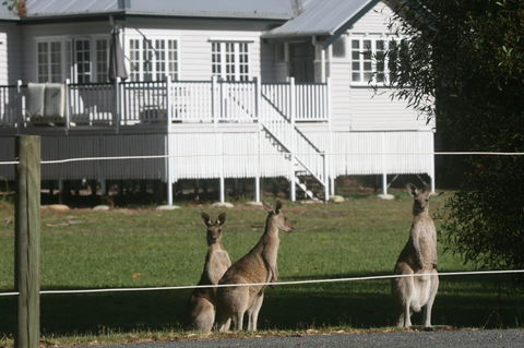 Lake Weyba Noosa Lodge & Kangaroos - Accommodation Main Beach 28