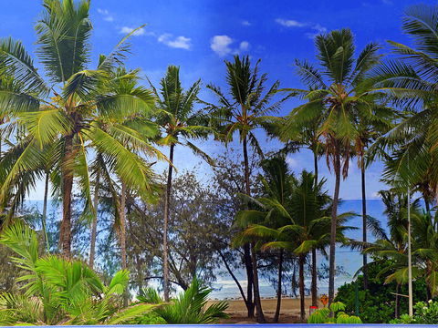 By The Sea Port Douglas - Accommodation Main Beach 3