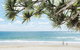 Netanya Noosa Beachfront Resort - thumb 38