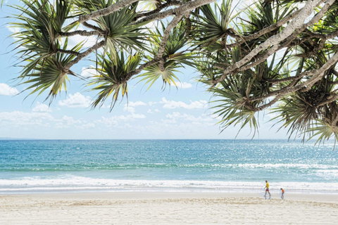 Netanya Noosa Beachfront Resort - Accommodation Main Beach 38