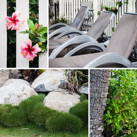 Coolum Caprice - Accommodation Main Beach 22
